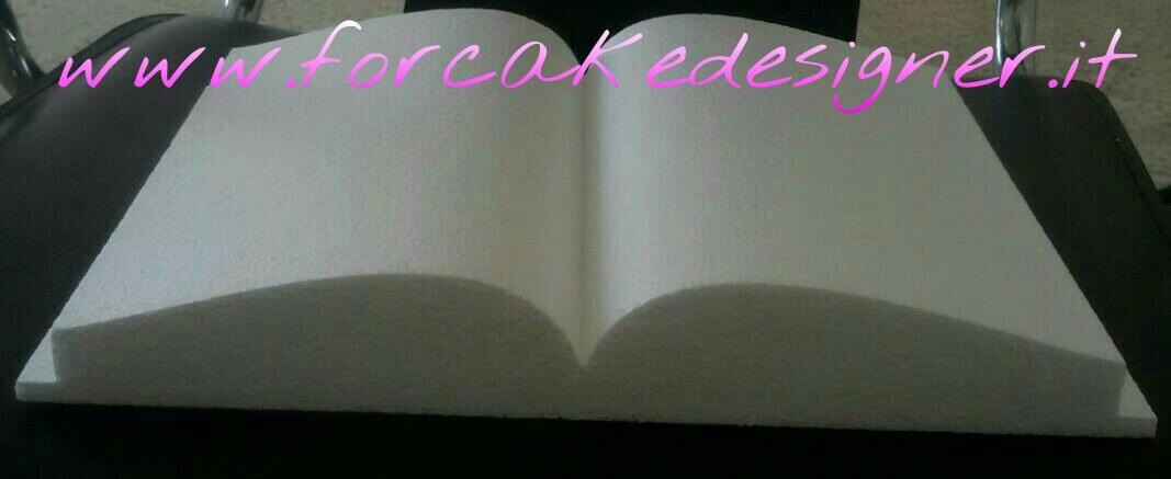  Foto: Polistirolo libro aperto 20x31x5 cm